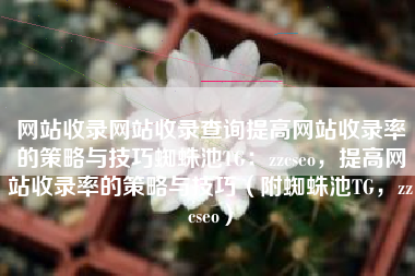 网站收录网站收录查询提高网站收录率的策略与技巧蜘蛛池TG：zzcseo，提高网站收录率的策略与技巧（附蜘蛛池TG，zzcseo）