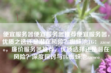 便宜服务器便宜服务器推荐便宜服务器，优质之选还是潜在风险？蜘蛛池TG：zzcseo，廉价服务器推荐，优质选择还是潜在风险？深度探讨与TG蜘蛛池zzcseo