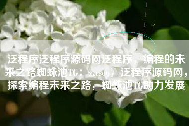 泛程序泛程序源码网泛程序，编程的未来之路蜘蛛池TG：zzcseo，泛程序源码网，探索编程未来之路，蜘蛛池TG助力发展