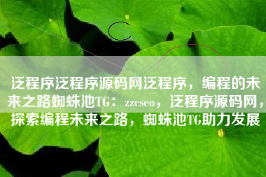 泛程序泛程序源码网泛程序，编程的未来之路蜘蛛池TG：zzcseo，泛程序源码网，探索编程未来之路，蜘蛛池TG助力发展