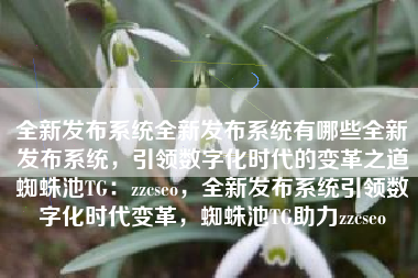 全新发布系统全新发布系统有哪些全新发布系统，引领数字化时代的变革之道蜘蛛池TG：zzcseo，全新发布系统引领数字化时代变革，蜘蛛池TG助力zzcseo