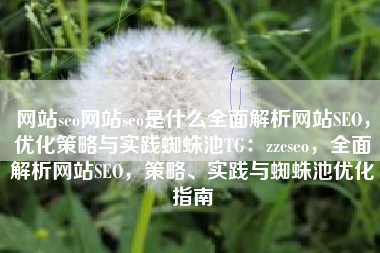 网站seo网站seo是什么全面解析网站SEO，优化策略与实践蜘蛛池TG：zzcseo，全面解析网站SEO，策略、实践与蜘蛛池优化指南