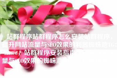 站群程序站群程序怎么安装站群程序，提升网站流量与SEO效果的利器蜘蛛池TG：zzcseo，站群程序安装指南，提升网站流量与SEO效果的蜘蛛池利器，TG教程分享。
