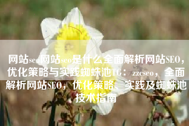 网站seo网站seo是什么全面解析网站SEO，优化策略与实践蜘蛛池TG：zzcseo，全面解析网站SEO，优化策略、实践及蜘蛛池技术指南