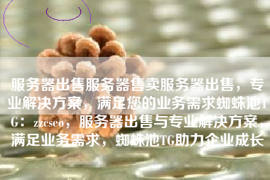 服务器出售服务器售卖服务器出售，专业解决方案，满足您的业务需求蜘蛛池TG：zzcseo，服务器出售与专业解决方案，满足业务需求，蜘蛛池TG助力企业成长