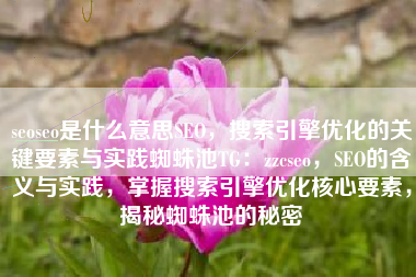 seoseo是什么意思SEO，搜索引擎优化的关键要素与实践蜘蛛池TG：zzcseo，SEO的含义与实践，掌握搜索引擎优化核心要素，揭秘蜘蛛池的秘密