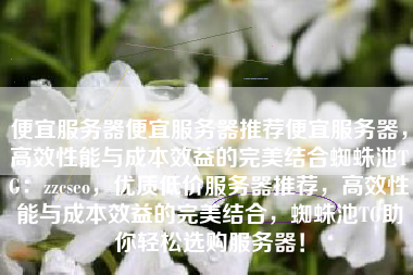 便宜服务器便宜服务器推荐便宜服务器，高效性能与成本效益的完美结合蜘蛛池TG：zzcseo，优质低价服务器推荐，高效性能与成本效益的完美结合，蜘蛛池TG助你轻松选购服务器！