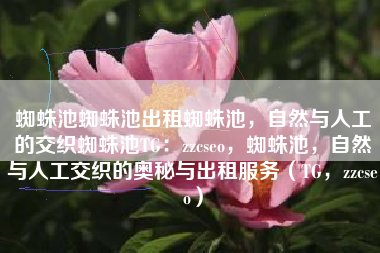 蜘蛛池蜘蛛池出租蜘蛛池，自然与人工的交织蜘蛛池TG：zzcseo，蜘蛛池，自然与人工交织的奥秘与出租服务（TG，zzcseo）