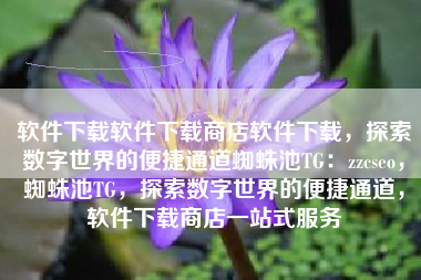 软件下载软件下载商店软件下载，探索数字世界的便捷通道蜘蛛池TG：zzcseo，蜘蛛池TG，探索数字世界的便捷通道，软件下载商店一站式服务