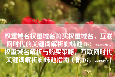 权重域名权重域名购买权重域名，互联网时代的关键词解析蜘蛛池TG：zzcseo，权重域名解析与购买策略，互联网时代关键词解析蜘蛛池指南（附TG，zzcseo）