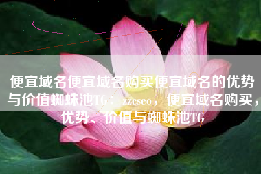 便宜域名便宜域名购买便宜域名的优势与价值蜘蛛池TG：zzcseo，便宜域名购买，优势、价值与蜘蛛池TG