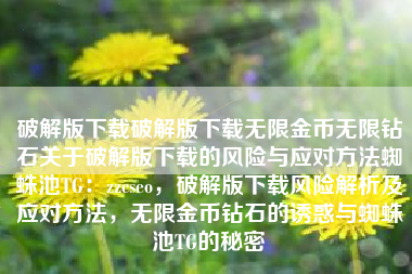 破解版下载破解版下载无限金币无限钻石关于破解版下载的风险与应对方法蜘蛛池TG：zzcseo，破解版下载风险解析及应对方法，无限金币钻石的诱惑与蜘蛛池TG的秘密