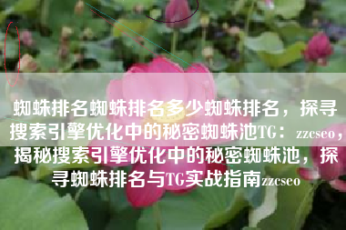 蜘蛛排名蜘蛛排名多少蜘蛛排名，探寻搜索引擎优化中的秘密蜘蛛池TG：zzcseo，揭秘搜索引擎优化中的秘密蜘蛛池，探寻蜘蛛排名与TG实战指南zzcseo