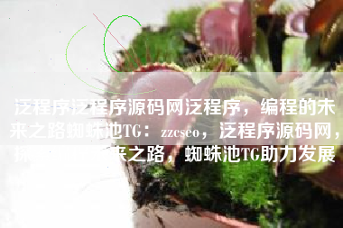 泛程序泛程序源码网泛程序，编程的未来之路蜘蛛池TG：zzcseo，泛程序源码网，探索编程未来之路，蜘蛛池TG助力发展