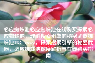 必应蜘蛛池必应蜘蛛池在线购买探索必应蜘蛛池，理解搜索引擎的秘密武器蜘蛛池TG：zzcseo，探索搜索引擎的秘密武器，必应蜘蛛池深度解析与在线购买指南