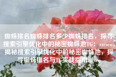 蜘蛛排名蜘蛛排名多少蜘蛛排名，探寻搜索引擎优化中的秘密蜘蛛池TG：zzcseo，揭秘搜索引擎优化中的秘密蜘蛛池，探寻蜘蛛排名与TG实战指南zzcseo