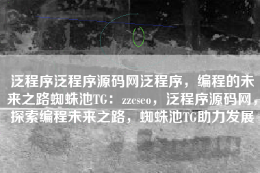 泛程序泛程序源码网泛程序，编程的未来之路蜘蛛池TG：zzcseo，泛程序源码网，探索编程未来之路，蜘蛛池TG助力发展
