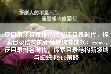泛目录泛目录排名代发泛目录时代，探索目录结构的新领域蜘蛛池TG：zzcseo，泛目录排名时代，探索目录结构新领域与蜘蛛池SEO策略