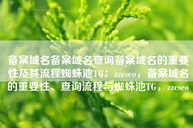 备案域名备案域名查询备案域名的重要性及其流程蜘蛛池TG：zzcseo，备案域名的重要性、查询流程与蜘蛛池TG，zzcseo