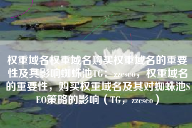 权重域名权重域名购买权重域名的重要性及其影响蜘蛛池TG：zzcseo，权重域名的重要性，购买权重域名及其对蜘蛛池SEO策略的影响（TG，zzcseo）