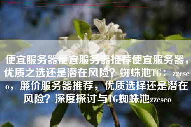 便宜服务器便宜服务器推荐便宜服务器，优质之选还是潜在风险？蜘蛛池TG：zzcseo，廉价服务器推荐，优质选择还是潜在风险？深度探讨与TG蜘蛛池zzcseo