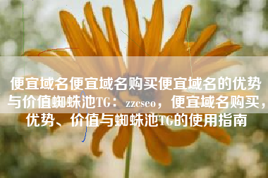 便宜域名便宜域名购买便宜域名的优势与价值蜘蛛池TG：zzcseo，便宜域名购买，优势、价值与蜘蛛池TG的使用指南
