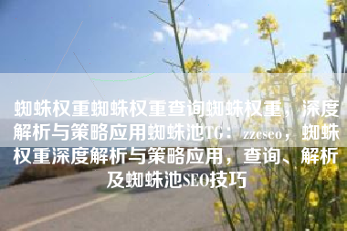 蜘蛛权重蜘蛛权重查询蜘蛛权重，深度解析与策略应用蜘蛛池TG：zzcseo，蜘蛛权重深度解析与策略应用，查询、解析及蜘蛛池SEO技巧