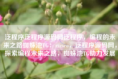 泛程序泛程序源码网泛程序，编程的未来之路蜘蛛池TG：zzcseo，泛程序源码网，探索编程未来之路，蜘蛛池TG助力发展