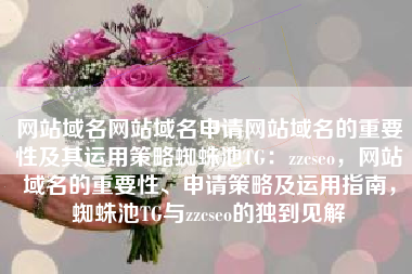 网站域名网站域名申请网站域名的重要性及其运用策略蜘蛛池TG：zzcseo，网站域名的重要性、申请策略及运用指南，蜘蛛池TG与zzcseo的独到见解