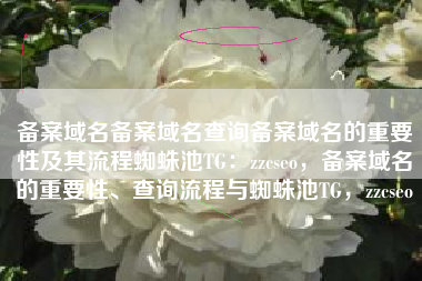 备案域名备案域名查询备案域名的重要性及其流程蜘蛛池TG：zzcseo，备案域名的重要性、查询流程与蜘蛛池TG，zzcseo