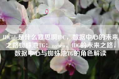 IDCidc是什么意思啊IDC，数据中心的未来之路蜘蛛池TG：zzcseo，IDC的未来之路，数据中心与蜘蛛池TG的角色解读