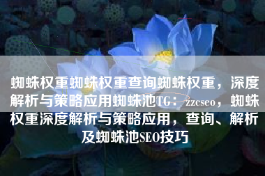 蜘蛛权重蜘蛛权重查询蜘蛛权重，深度解析与策略应用蜘蛛池TG：zzcseo，蜘蛛权重深度解析与策略应用，查询、解析及蜘蛛池SEO技巧