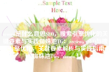 seoseo是什么意思SEO，搜索引擎优化的关键要素与实践蜘蛛池TG：zzcseo，SEO与搜索引擎优化，关键要素解析与实践指南（蜘蛛池TG，zzcseo）