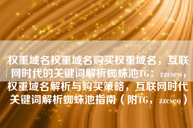 权重域名权重域名购买权重域名，互联网时代的关键词解析蜘蛛池TG：zzcseo，权重域名解析与购买策略，互联网时代关键词解析蜘蛛池指南（附TG，zzcseo）