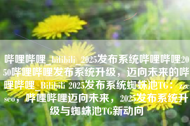 哔哩哔哩_bilibili_2025发布系统哔哩哔哩2050哔哩哔哩发布系统升级，迈向未来的哔哩哔哩_Bilibili 2025发布系统蜘蛛池TG：zzcseo，哔哩哔哩迈向未来，2025发布系统升级与蜘蛛池TG新动向