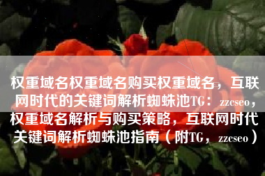 权重域名权重域名购买权重域名，互联网时代的关键词解析蜘蛛池TG：zzcseo，权重域名解析与购买策略，互联网时代关键词解析蜘蛛池指南（附TG，zzcseo）