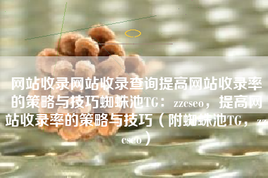 网站收录网站收录查询提高网站收录率的策略与技巧蜘蛛池TG：zzcseo，提高网站收录率的策略与技巧（附蜘蛛池TG，zzcseo）