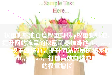 权重蜘蛛池百度权重蜘蛛ip权重蜘蛛池，提升网站流量的秘密武器蜘蛛池TG：zzcseo，权重蜘蛛池，提升网站流量的秘密武器，TG，zzcseo，打造高效蜘蛛池助力网站权重增长