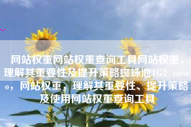 网站权重网站权重查询工具网站权重，理解其重要性及提升策略蜘蛛池TG：zzcseo，网站权重，理解其重要性、提升策略及使用网站权重查询工具