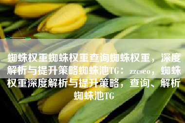蜘蛛权重蜘蛛权重查询蜘蛛权重，深度解析与提升策略蜘蛛池TG：zzcseo，蜘蛛权重深度解析与提升策略，查询、解析蜘蛛池TG