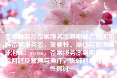 备案服务器备案服务器到期域名还能用吗备案服务器，重要性、操作与管理蜘蛛池TG：zzcseo，备案服务器到期域名使用问题及管理与操作，蜘蛛池TG的重要性探讨