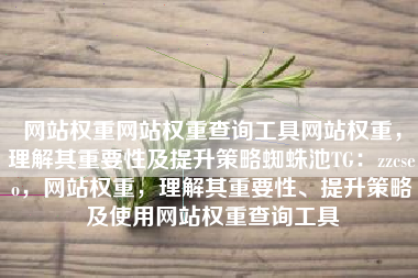 网站权重网站权重查询工具网站权重，理解其重要性及提升策略蜘蛛池TG：zzcseo，网站权重，理解其重要性、提升策略及使用网站权重查询工具
