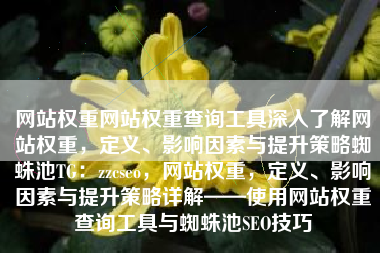 网站权重网站权重查询工具深入了解网站权重，定义、影响因素与提升策略蜘蛛池TG：zzcseo，网站权重，定义、影响因素与提升策略详解——使用网站权重查询工具与蜘蛛池SEO技巧
