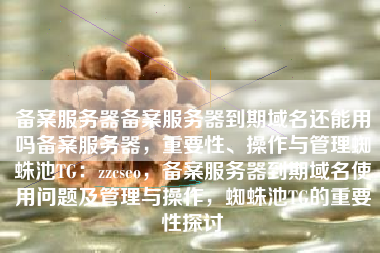 备案服务器备案服务器到期域名还能用吗备案服务器，重要性、操作与管理蜘蛛池TG：zzcseo，备案服务器到期域名使用问题及管理与操作，蜘蛛池TG的重要性探讨