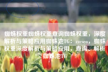 蜘蛛权重蜘蛛权重查询蜘蛛权重，深度解析与策略应用蜘蛛池TG：zzcseo，蜘蛛权重深度解析与策略应用，查询、解析蜘蛛池TG