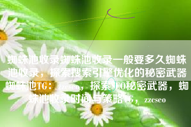 蜘蛛池收录蜘蛛池收录一般要多久蜘蛛池收录，探索搜索引擎优化的秘密武器蜘蛛池TG：zzcseo，探索SEO秘密武器，蜘蛛池收录时间与策略TG，zzcseo