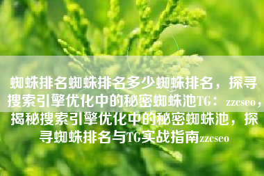 蜘蛛排名蜘蛛排名多少蜘蛛排名，探寻搜索引擎优化中的秘密蜘蛛池TG：zzcseo，揭秘搜索引擎优化中的秘密蜘蛛池，探寻蜘蛛排名与TG实战指南zzcseo