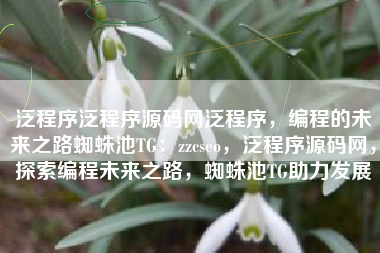 泛程序泛程序源码网泛程序，编程的未来之路蜘蛛池TG：zzcseo，泛程序源码网，探索编程未来之路，蜘蛛池TG助力发展
