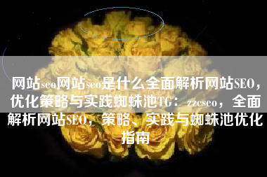 网站seo网站seo是什么全面解析网站SEO，优化策略与实践蜘蛛池TG：zzcseo，全面解析网站SEO，策略、实践与蜘蛛池优化指南