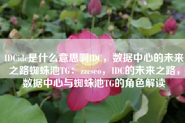 IDCidc是什么意思啊IDC，数据中心的未来之路蜘蛛池TG：zzcseo，IDC的未来之路，数据中心与蜘蛛池TG的角色解读